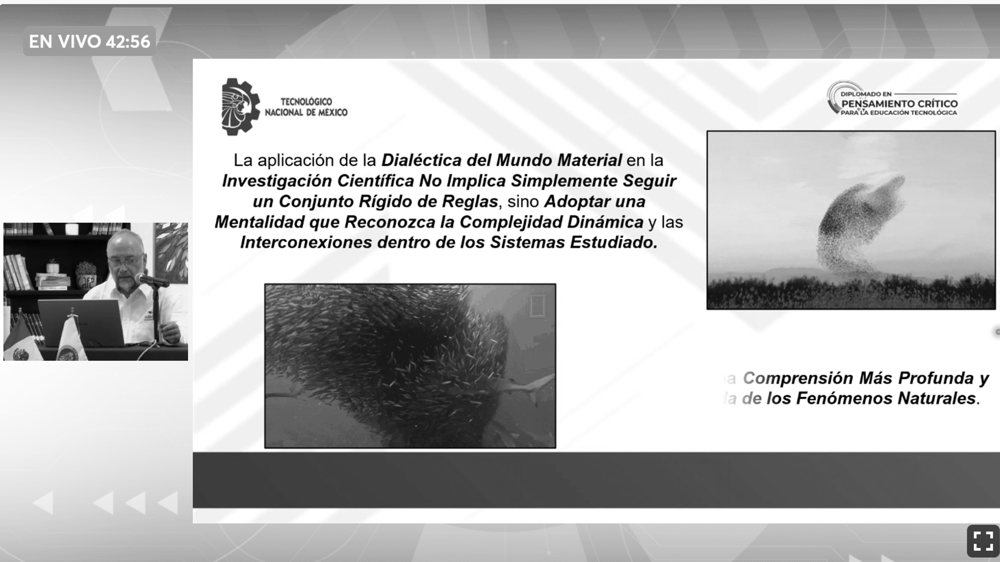NotiCIIDET-2026-047-B:N.jpeg